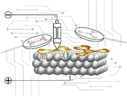 Graphical abstract: Synthesis, electronic properties and on-surface switching behaviour of triazatruxene dimers and tetramers