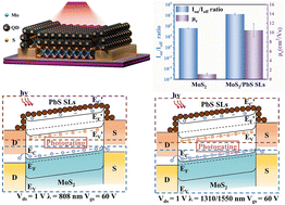 Graphical abstract: Advanced PbS quantum dot superlattices for high-performance electrical transport and infrared photodetection integrated with two-dimensional MoS2