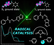 Graphical abstract: Closed-to-open-shell ground state photoswitching of thienyl-based acylhydrazones