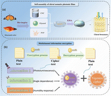 Graphical abstract: Multi-channel information encryption based on the structural color and photoluminescence capability of cellulose nanocrystal flexible films