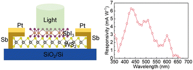 Graphical abstract: Near room-temperature chemical vapor deposition of 2D SbI3 on van der Waals substrates for photodetector applications