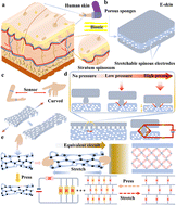 Graphical abstract: A flexible stretchable pressure sensor featuring a carbon nanotube porous sponge bionic–skin stratum spinosum electrode for health monitoring