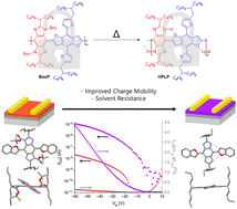 Graphical abstract: Manipulation of intramolecular hydrogen bonds in conjugated pseudoladder polymer for semiconductivity and solution-processability