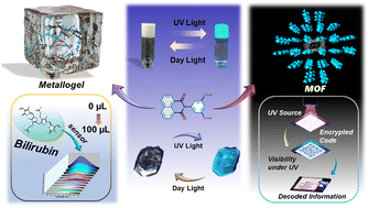 Graphical abstract: A solvent crafted alternate [Zn3/Zn4] cluster driven MOF and its analogous MOG: structural elucidation integrated with advanced bilirubin detection and encryption strategies
