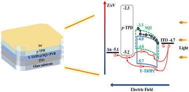 Graphical abstract: High-performance UV-Vis-NIR photomultiplier detectors based on titanyl phthalocyanine/squaraine dye bulk heterojunctions