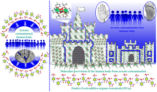 Graphical abstract: Strategic synthesis of [NiII]2FeIII heterotrimetallic chemophores for selective sensing of poultry feed-additive organo-arsenicals (PFAs)