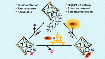 Graphical abstract: Dual-functional metal–organic framework for efficient removal and fluorescent detection of perfluorooctanoic acid (PFOA) from water