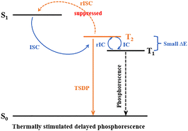 Graphical abstract: Non-adiabatic molecular dynamics study of excited states in thermally stimulated delayed phosphorescent gold(iii) complexes