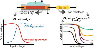 Graphical abstract: An unbalanced load resistor for ideal logic levels and maximum gain in organic electrochemical transistor-based unipolar inverters