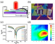 Graphical abstract: Self-powered MoTe2 homojunction photodetector with ultrafast response via h-BN encapsulation and doping regulation