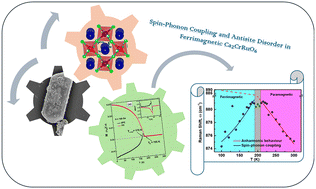 Graphical abstract: Spin–phonon coupling and antisite disorder in ferrimagnetic double perovskite Ca2CrRuO6