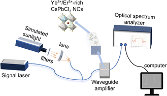 Graphical abstract: Ultralow-threshold UV/solar-pumping waveguide amplifier based on lanthanide-rich metal halide perovskite nanocrystals
