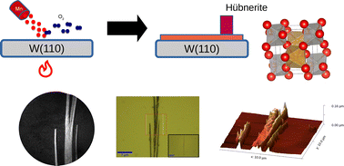 Graphical abstract: Growth of MnWO4 nanowires on W(110) by high-temperature oxygen-assisted molecular beam epitaxy