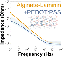 Graphical abstract: Electrically active hydrogels based on PEDOT:PSS for neural cultures
