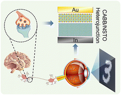 Graphical abstract: A halide perovskite/Nb:SrTiO3 heterojunction-based interfacial-type memristor