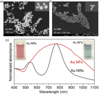 Graphical abstract: Improving SERS sensitivity via hot spots and control of molecular orientation