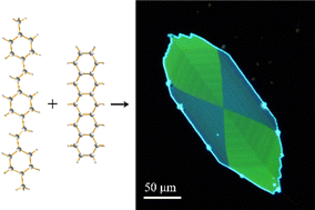 Graphical abstract: Crystallographic orientation-dependent anisotropic doping in organic single-crystal microplates