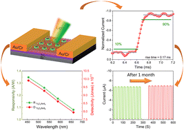Graphical abstract: MXene–TMD heterostructure photodetectors: engineering the Ti3C2/SnS2 interface for high-speed visible light detection
