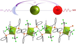 Graphical abstract: Insights into quantum cutting and downshifting contributions to near-infrared YbIII luminescence in 1D coordination polymers