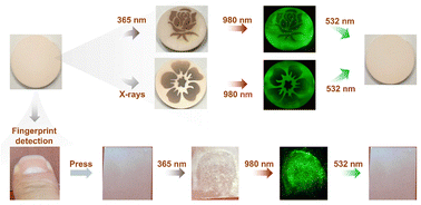 Graphical abstract: Multifunctional Bi2TeO5:Er3+ with dual-stimuli photochromism and switchable upconversion for optical security