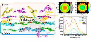 Graphical abstract: Modulation of hybrid emissions from multiple exciplexes and Frenkel excitons: dipole characteristics toward facile fabrication of cool white OLEDs