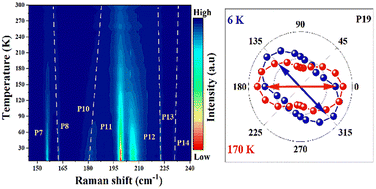 Graphical abstract: Antipolar and short- and long-range magnetic ordering in quasi-two-dimensional AgCrP2S6