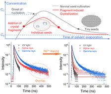 Graphical abstract: Nd3+-doped 2D perovskite scintillators with ray-type-specific response via fragment-induced crystallization