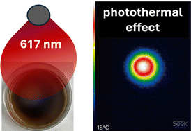 Graphical abstract: On the photothermal behaviour of naphthalene diimide aggregates in water