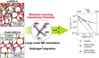 Graphical abstract: Atomistic insights into hydrogen migration in IGZO from machine-learning interatomic potential: linking atomic diffusion to device performance