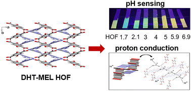 Graphical abstract: A dihydroxyterephthalic acid-based fluorescent hydrogen-bonded organic framework as a multifunctional platform for acid vapor detection, pH sensing and proton conductivity