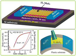 Graphical abstract: Semi-metallic Bi2Se3 contact-based interface engineering on monolayer MoS2 for high-performance field-effect transistors and flexible photodetectors