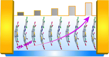 Graphical abstract: Ultrasensitive ppb-level detection of trifluoroacetic acid vapor using buckybowl-based organic field-effect transistors
