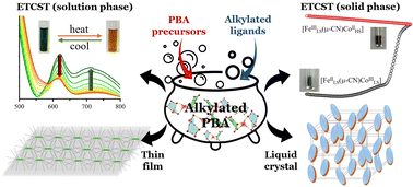 Graphical abstract: Bifunctional [Fe6Co7] cyanide bridged assemblies: electron transfer coupled spin transition and liquid crystal properties