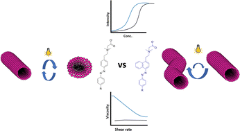 Graphical abstract: The effect of enhanced π–π interactions and tail branching on azobenzene surfactant self-assembly
