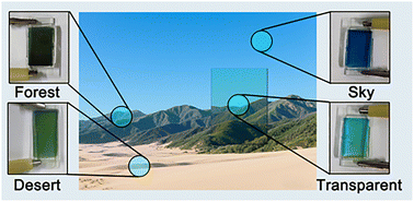 Graphical abstract: Four-state electrochromic smart devices for dynamic environmental adaptive camouflage with synergistic thermal–electromagnetic energy management