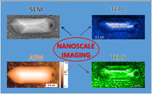 Graphical abstract: Nanoscale spectroscopy and imaging of single epitaxial GaAs nanocrystals