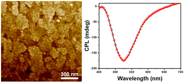 Graphical abstract: Anisotropy in bulk-like lead halide perovskite nanorods triggers circularly polarized photoluminescence