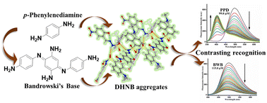 Graphical abstract: Excited-state AIE material for differential recognition of toxic hair color ingredients: towards functional device applications