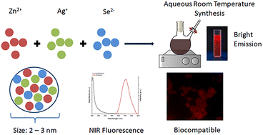 Graphical abstract: Room-temperature aqueous ZnAgSe alloyed quantum dots: Zn-assisted defect passivation for bright NIR emission and biointerface-ready colloids