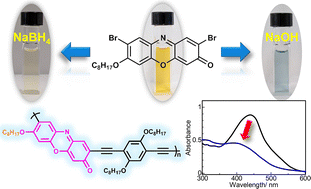 Graphical abstract: Synthesis and halochromic behavior of resorufin-based monomer, and redox-responsive optical properties of both monomer and polymer
