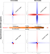 Graphical abstract: Mapping the structural evolution in supercooled polysiloxane liquids: a combined temperature-resolved WAXD and 2D-COS study