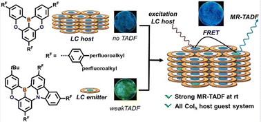 Graphical abstract: The magic of semi-perfluorinated mixtures: engineering MR-TADF emission from host–guest mixtures of liquid crystals