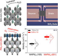 Graphical abstract: Stable PbI2-terminated (001) facets drive low-defect anisotropy for high-performance charge transport in MAPbI3 single crystals