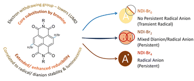Graphical abstract: The impact of core-substitution on the sequential reduction-induced open-shell structures in napthalenediimides