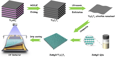 Graphical abstract: MXene-enhanced quantum dots ultraviolet photodetector performance towards flexible photoelectric detection
