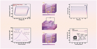 Graphical abstract: 6-Bit multilevel and highly linear synaptic plasticity in sputtered AlScN ferroelectric capacitors on (100) Si