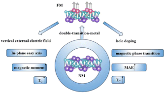 Graphical abstract: Tunable intrinsic magnetism in 2D Mo2B2 via double-transition-metal engineering under an electric field and hole doping
