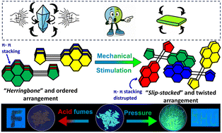 Graphical abstract: Unravelling the role of various interactions in mechanochromism-induced polymorphism: a sensor kit for acidic fume detection and double encryption–decryption technologies