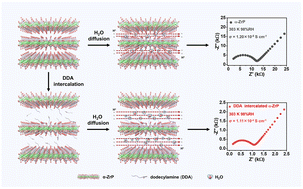 Graphical abstract: Enhancing the proton conduction in α-zirconium phosphate nanoplates by amine intercalation