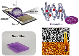Graphical abstract: Neutron reflectometry for in-depth porosity and figure-of-merit correction of organic electrochemical transistors
